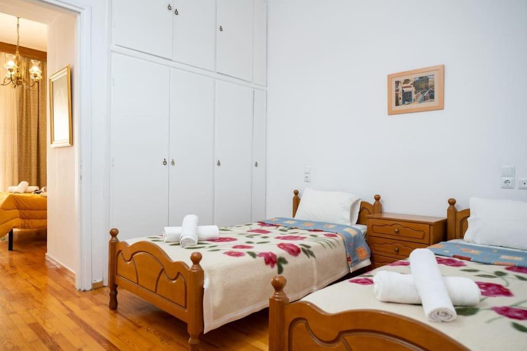Theoni Central Apartment Калампака Екстериор снимка