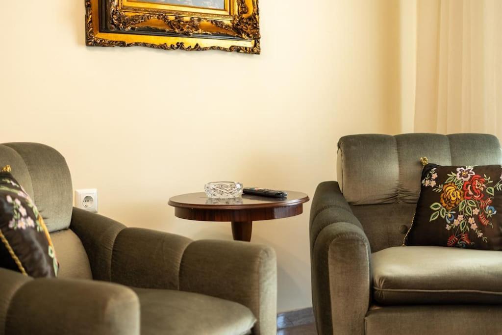 Theoni Central Apartment Калампака Екстериор снимка